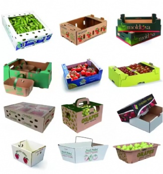 paper fruit box